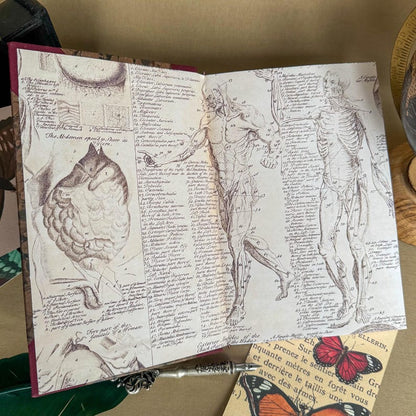 Frankenstein Custom Rebound Book – Clothbound, Handmade, Mary Shelley