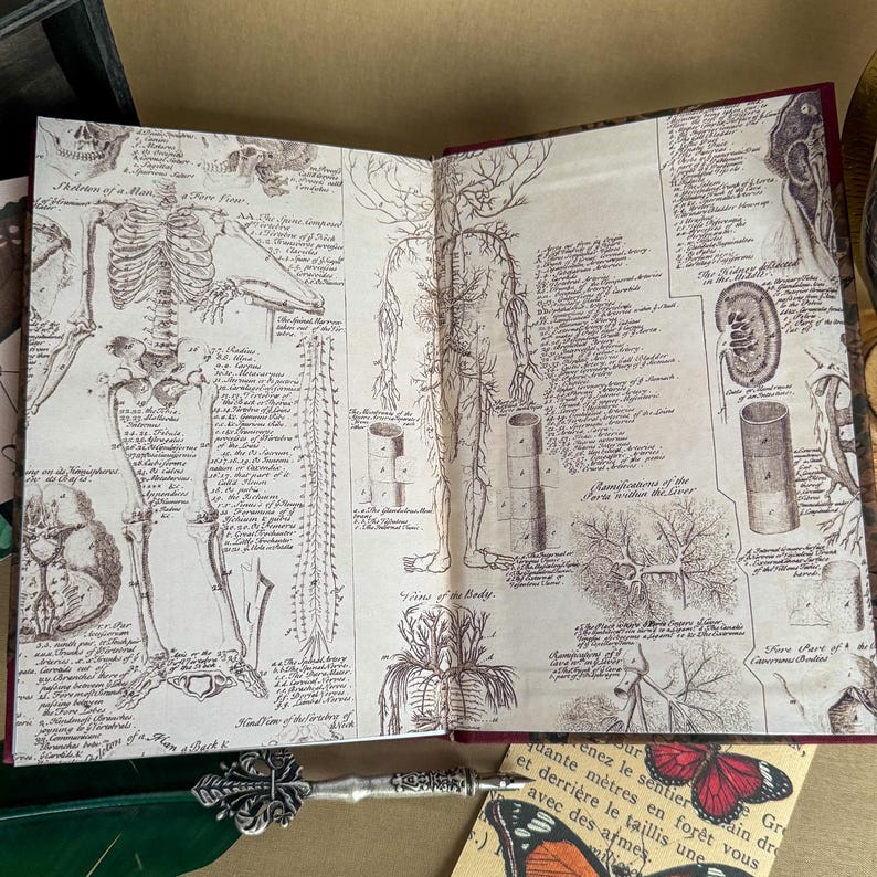 Frankenstein Custom Rebound Book – Clothbound, Handmade, Mary Shelley